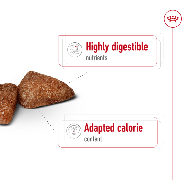 Size Health Nutrition Mini Indoor Adult 1.5 kg