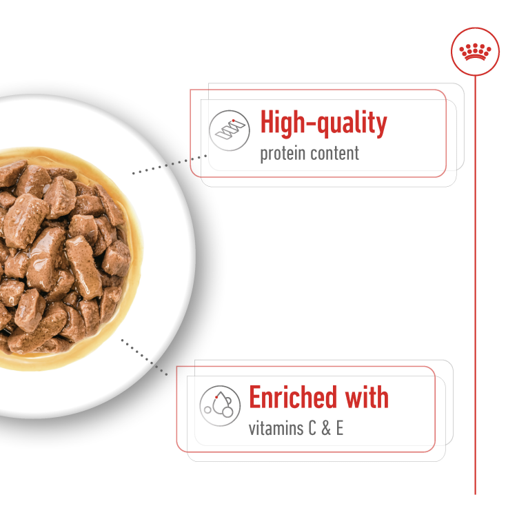 Size Health Nutrition Medium Adult (Wet Food - Pouches) 10 x 140 g