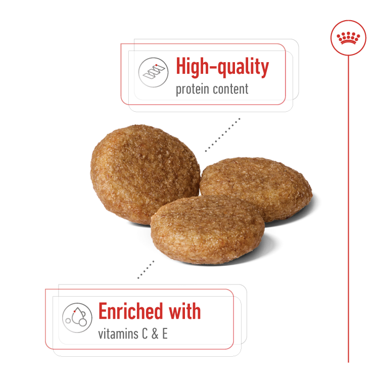 Size Health Nutrition Medium Adult 4 kg