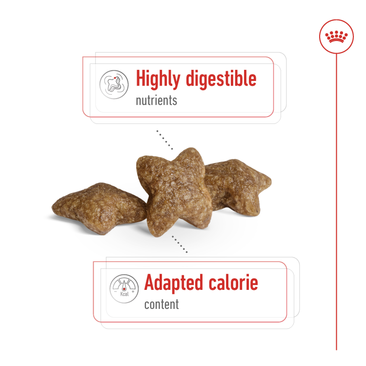 Size Health Nutrition Mini Adult 4 kg