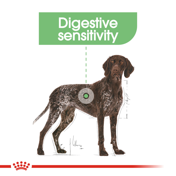 Canine Care Nutrition Maxi Digestive Care 12 kg