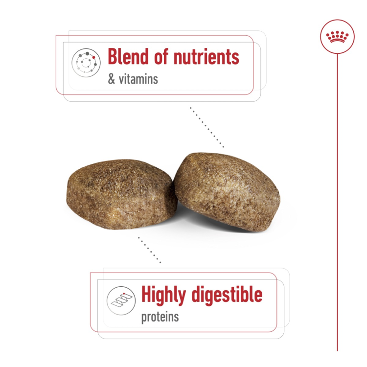 Size Health Nutrition Giant Adult 15 kg