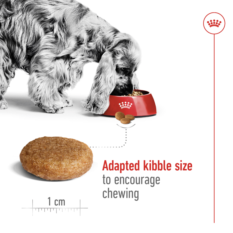 Size Health Nutrition Medium Adult 4 kg