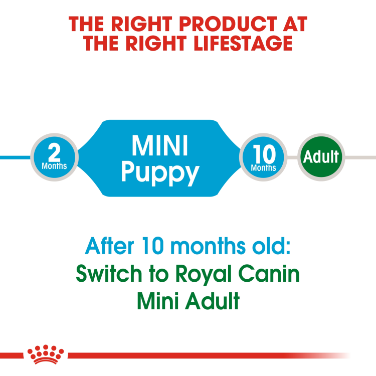Size Health Nutrition Mini Puppy 4 kg