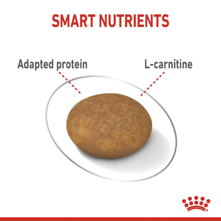 Canine Care Nutrition XS Adult Light Weight Care 1.5 kg