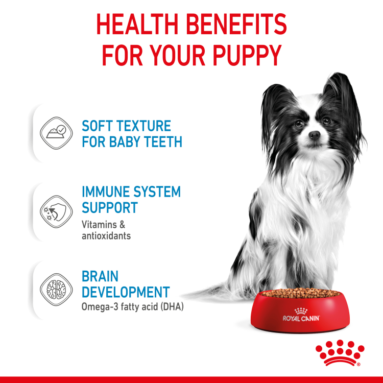 Size Health Nutrition XS Puppy 1.5 kg