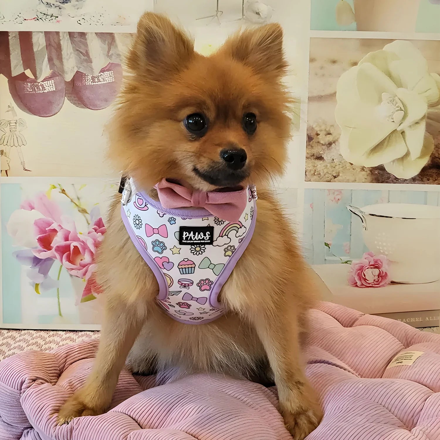 Little Charms Adjustable Harness Set-Walk&Wear