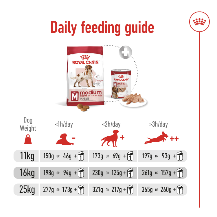 Size Health Nutrition Medium Adult 4 kg
