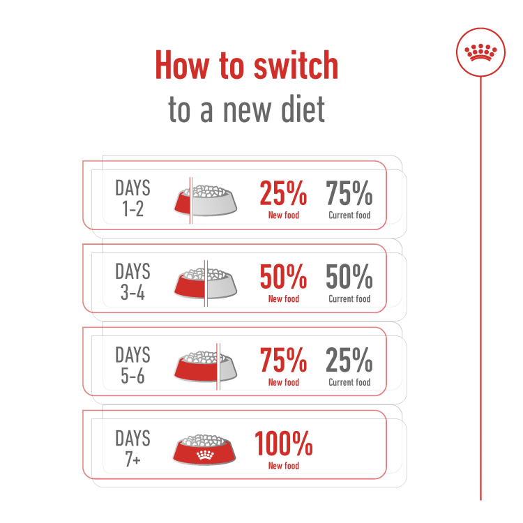 Size Health Nutrition Mini Adult 8+ 2 kg