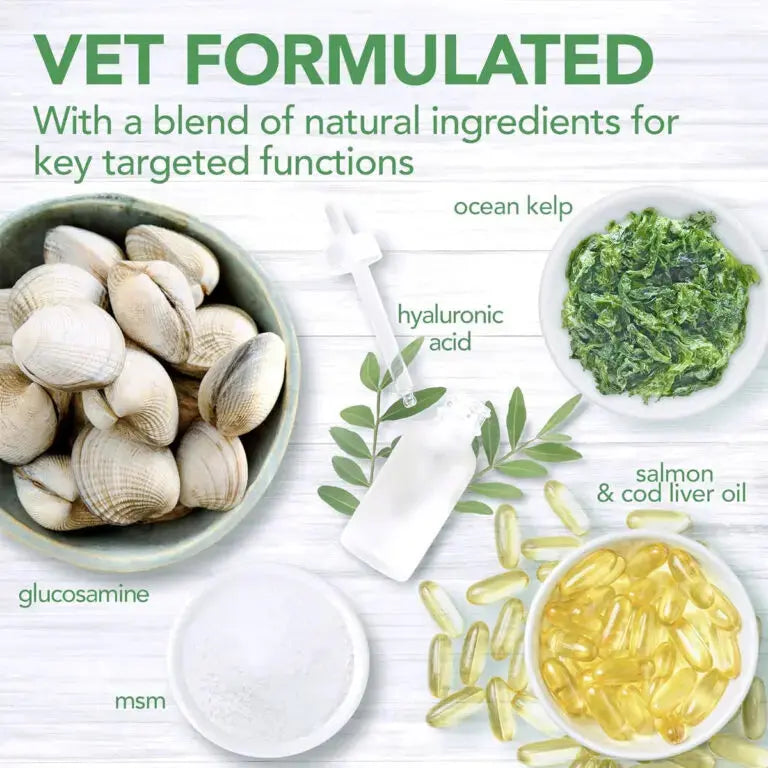 Vet’s Best Daily Chews 180 Soft Chews Senior-Wellness